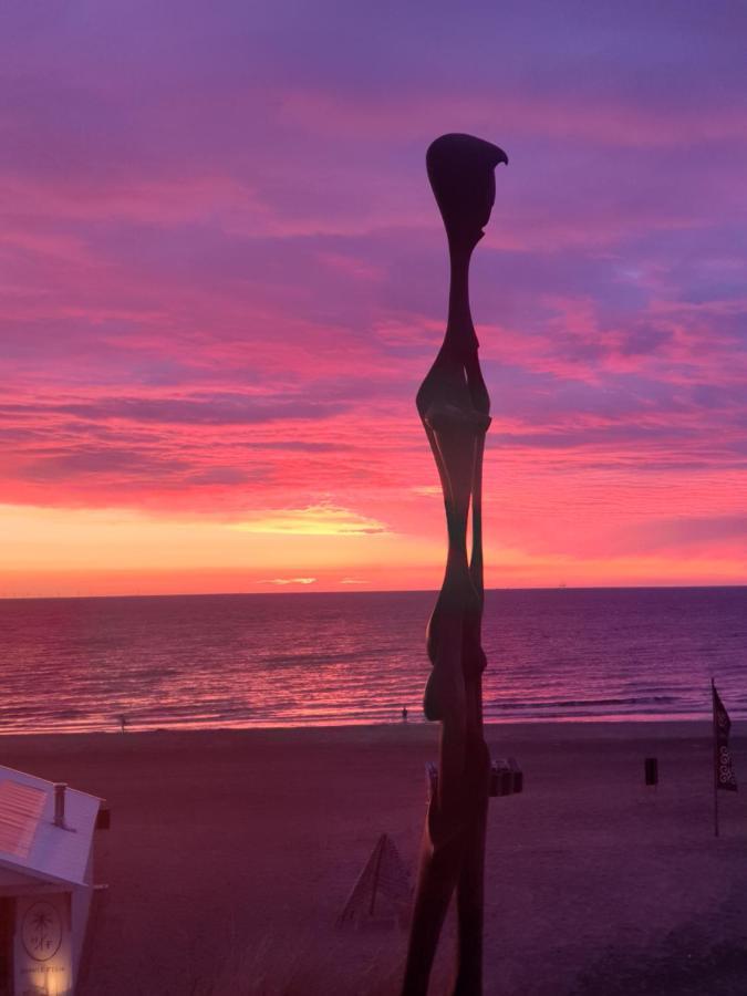 Sunset Lodge Zandvoort Kültér fotó